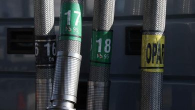 Фото - Польская компания ANWIL приостановила производство удобрений из-за цен на газ