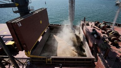 Фото - Удорожание прохода судов через Босфор усложнит экспорт российского зерна