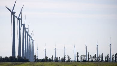 Фото - В Шотландии TotalEnergies запустила крупнейшую в стране морскую ветряную электростанцию