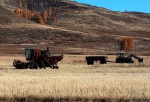 Фото - В Госдепе США прокомментировали заявление РФ об отсутствии поставок зерна Украины бедным