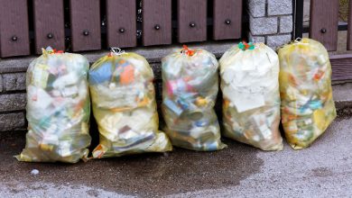 Фото - В России вдвое сократят расходы на утилизацию мусора в ближайшие два года