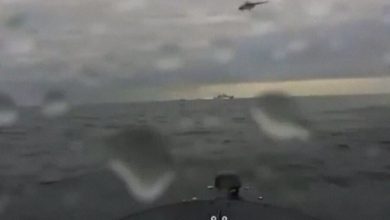 Фото - «Транснефть»: информация об атаке морским беспилотником ВСУ нефтегавани «Шесхарис» неверна